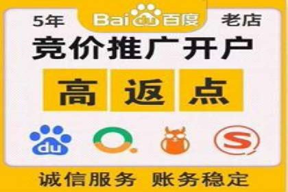 SEO与SEM优化案例：助力企业网站流量增长